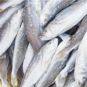 பெரிய பண்ணா கருவாடு